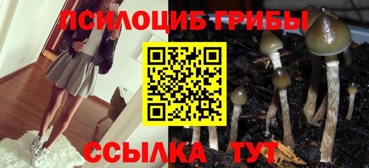 Псилоцибиновые грибы Psilocybine cubensis  Вход с VPN  Избербаш  Галлюциногенные грибы мухоморы 