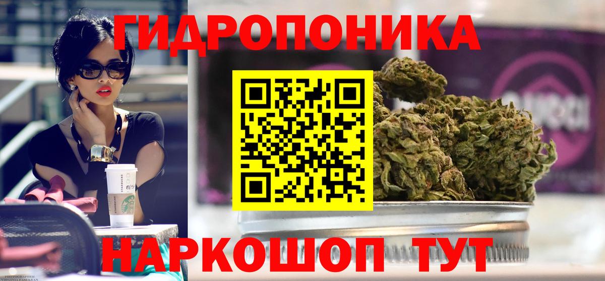 Шишки марихуана OG Kush  МАРИХУАНА тримм  Конопля White Widow  Вход с VPN  МАРИХУАНА конопля  Избербаш 